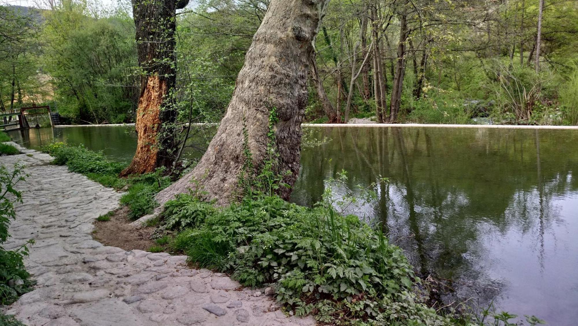 Le Moulin Aux Chandelles 2, Vacances & W-E, Vues Riviere, Montagne & Ville, Tout Confort Deconnecte, Eclairage Bougies, Connexions A 200M Au Centre Le Vigan Gite Les Amoureux De L'Arre, Randonnee Chemin De Saint-Guilhem-Le-Desert, Lire Profil Avant R Ngoại thất bức ảnh
